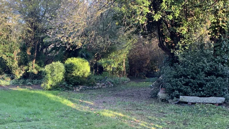 Le jardin arboré du cabinet d’Escaudœuvres, baigné de lumière