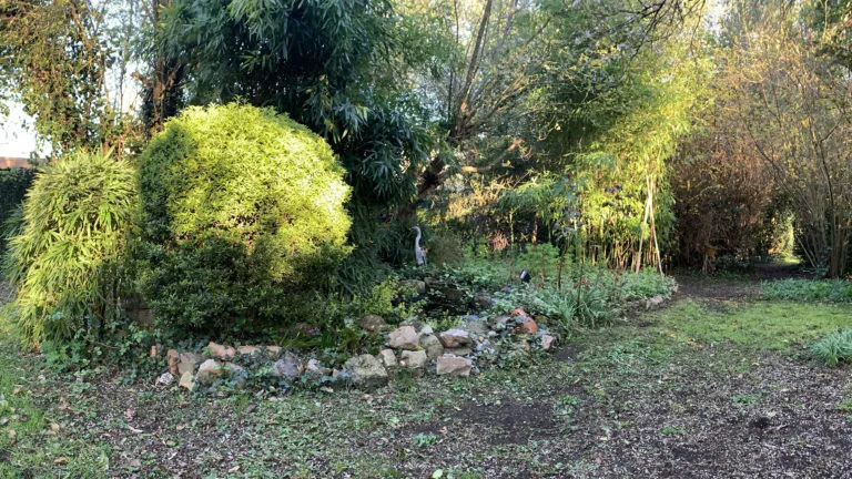 Le jardin arboré d’Escaudœuvres, où se trouvent le cabinet et l’IHM-Nord