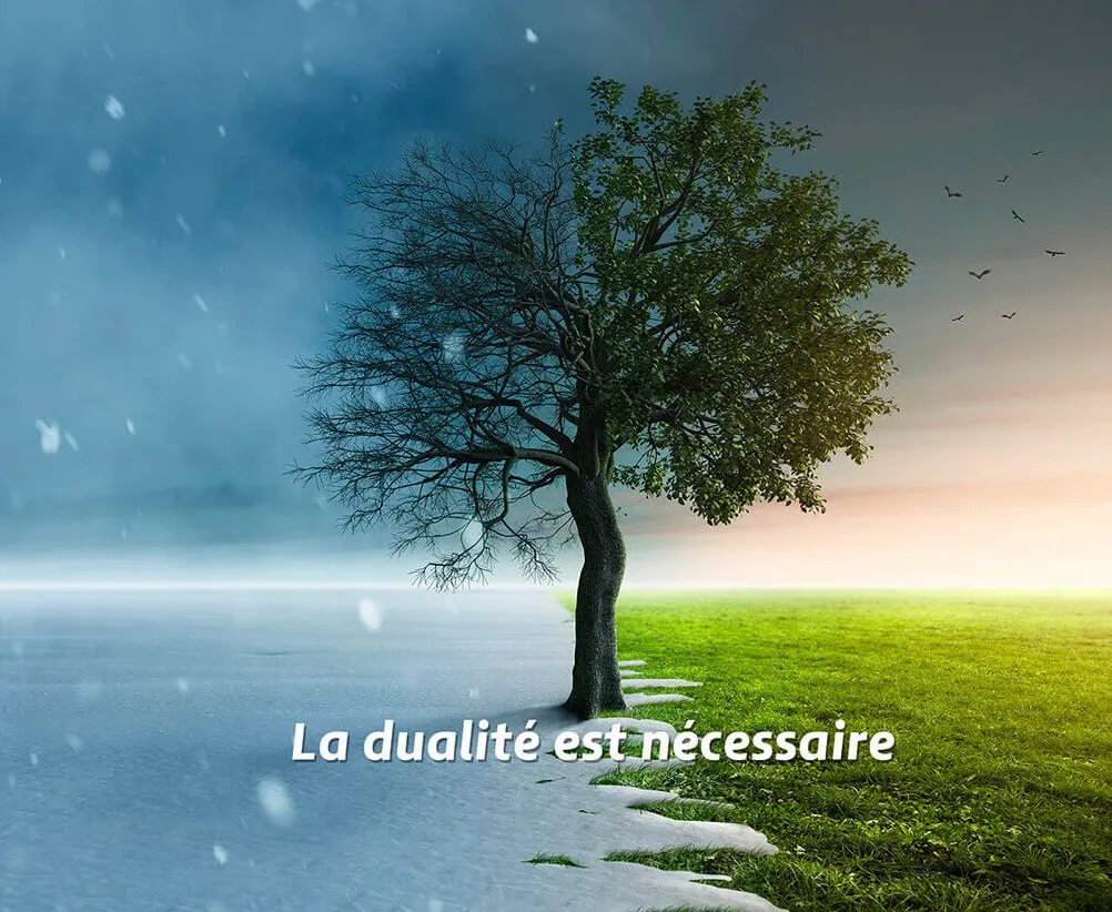 Un arbre partagé entre l’hiver et l’été, avec la phrase « La dualité est nécessaire »